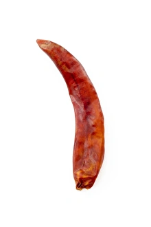 Vitamin C Source Prints: Dried red chilli pepper