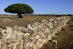 Dry Stone Wall Prints: Dry stone wall