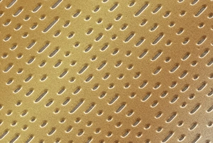 SEM Print of Double-Layer DVD Surface