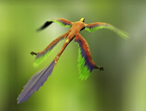 Motion Blur Effect Images Prints: e4460690