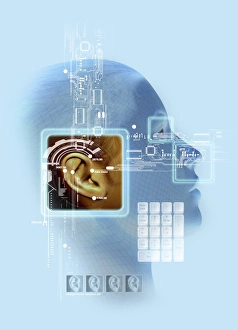 Biometric Identification Prints: Ear biometrics, artwork