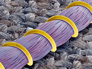 Images Dated 2007 January: Electric blanket heating element print, SEM
