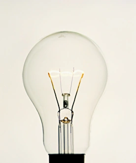 Electric Light Bulb Print