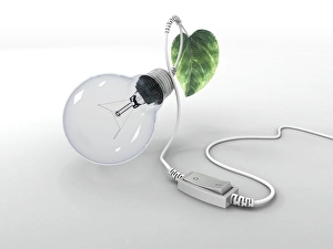 Energy Saving Light Bulb Prints: Electric light bulb, leaf and switch