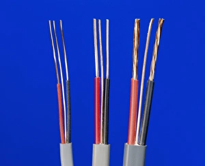 Prints of Electrical cables. Each cable is composed of a live, neutral and earth wire, insulated within rubber sheaths. The wires are made from copper, which is an excellent conductor Images Dated 2009 March: Electrical Cable Print: Three insulated copper wires with rubber sheaths