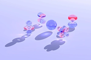 Atomic Structure Model Prints: Electron orbitals