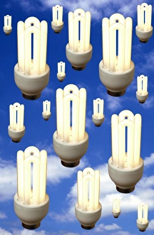 Energy Saving Light Bulbs Prints: Energy saving light bulbs
