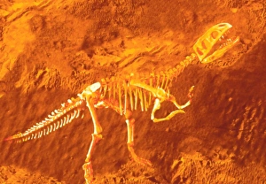 Enhanced image of a Gasosaurus dinosaur fossil Enhanced image of a Gasosaurus dinosaur fossil