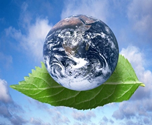 Climate Change Image Prints: Environmental issues, conceptual artwork