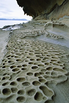 Coastal Erosion Images Prints: Eroded and pitted rock