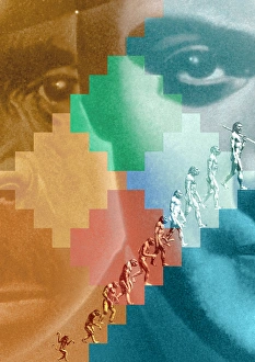 Human Evolution Prints: Evolution