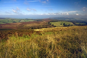 West Country Landscapes Prints: Exmoor, Devon