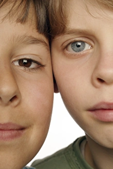 Human Eye Anatomy Prints: Eye colour