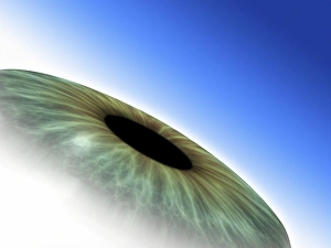 Human Eye Structure Prints: Eye, computer artwork