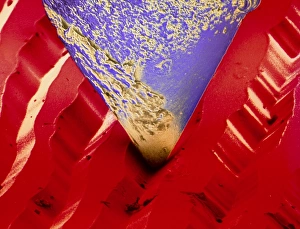 False-colour SEM of stylus in groove of LP record False-colour SEM of stylus in groove of LP record