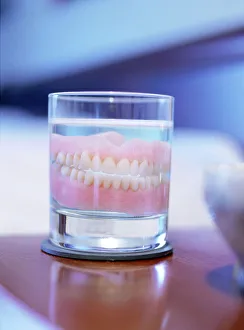 Images Dated 2003: False teeth in a glass of water Print