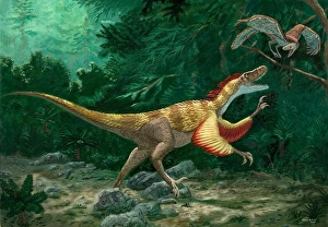 Feathered dinosaurs Feathered dinosaurs