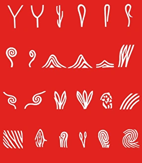 Fingerprint Analysis Prints: Features of fingerprints, artwork