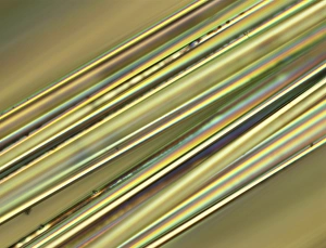 Images Dated 7th February 2013: Fibreglass Print (0.1mm)