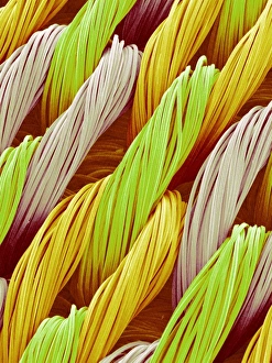 Images Dated 9th February 2005: SEM Print of Bra Strap Fibres