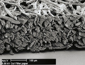 Scanning Electron Microscopy Images Prints: Filter paper, SEM