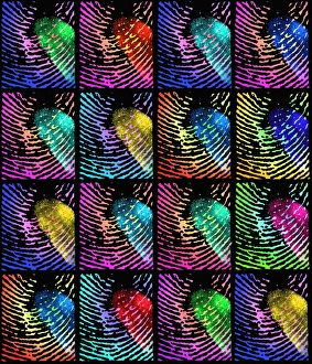 Unique Fingerprints Print