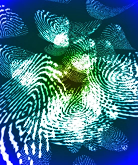 Biometric Identification Prints: Fingerprints, computer artwork