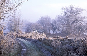 Frosty Landscape Photography Prints: Flood plain