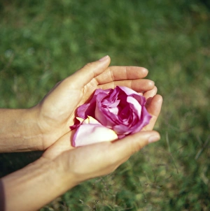 Flower Print Held in Hands