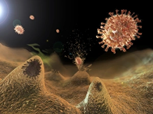 Virology Images Prints: Flu viruses