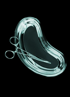 Operating Room Equipment Prints: Forceps in a kidney dish