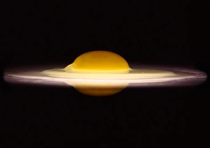 Prints of Fried egg. It has a yellow yolk surrounded by white albumen. This could also be a conceptual image of a galaxy, with the yolk representing the nucleus, and the albumen the disc Images Dated 2004 January: Fried Egg Print: A Circular Composition of Yolk and Albumen