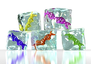 Computer Generated DNA Image Prints: Frozen DNA, conceptual image