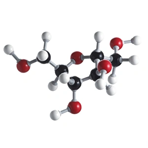 Prints of Fructose sugar molecule. This is the ring structure. Atoms are represented as spheres and are colour-coded: carbon (black), hydrogen (white) and oxygen (red) Images Dated 2011 August: Fructose Sugar Molecule Print