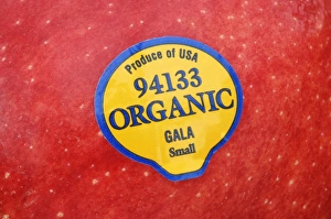 Food Packaging Design Prints: Fruit label