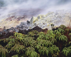 Kilauea Volcano Prints: Fumarole vents