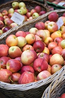 Malus Domestica Photos Prints: Gala apples
