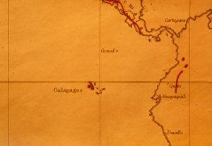 The Galapagos Islands seen on one of Darwins maps The Galapagos Islands seen on one of Darwins maps