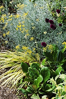 Garden border Garden border