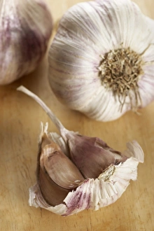 Allium Sativum Prints: Garlic