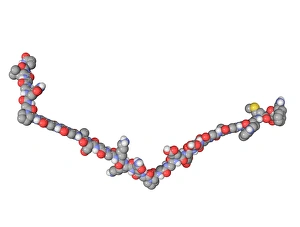 Prints of Gastrin hormone molecule. Computer model showing the structure of the human hormone gastrin Images Dated 2009 October: Gastrin Hormone Molecule Print