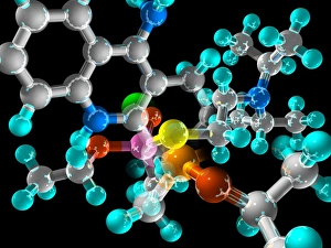 Molecular Model Prints: Generic molecule