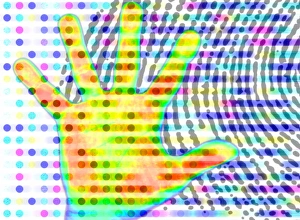 Genetic identity Genetic identity
