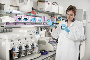 Images Dated 18th December 2013: Genetic Microarray Preparation Print