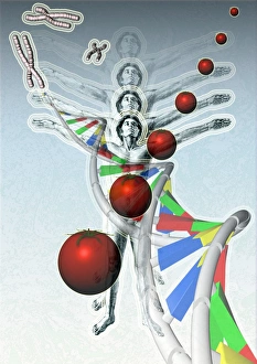 Deoxyribonucleic Acid Structure Prints: Genetic modification