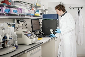 Genetic Analysis Prints: Genetic sample analysis C019 / 0284