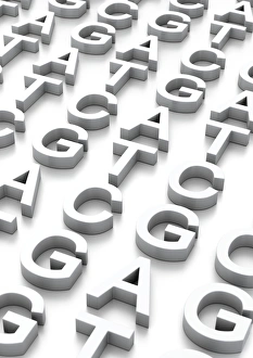 Deoxyribonucleic Acid Prints: Genetic sequence, conceptual artwork