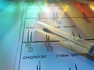 Deoxyribonucleic Acid Prints: Genetic testing