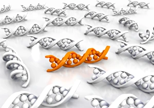 Deoxyribonucleic Acid Prints: Genetic uniqueness, artwork