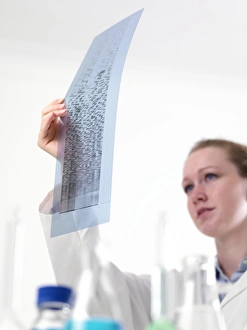 DNA Autoradiogram Prints: Genetics research